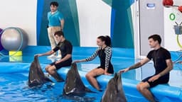 Dolphinarium Pattaya